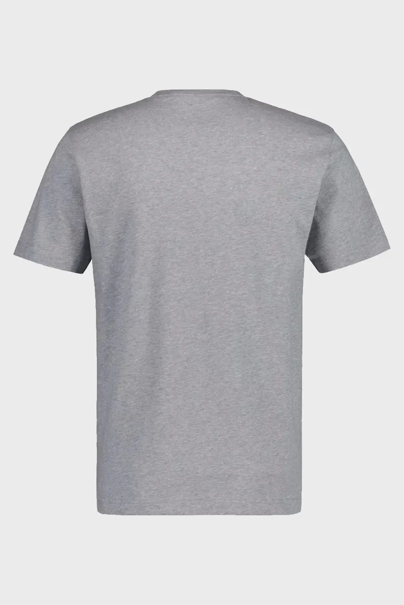 Чоловіча сіра футболка REG ARCHIVE SHIELD SS T-SHIRT 6