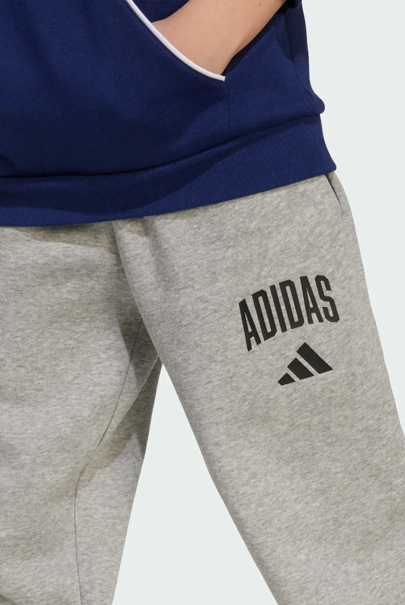 Детские серые спортивные брюки Seasonals Essentials Collegiate Typography Kids 5