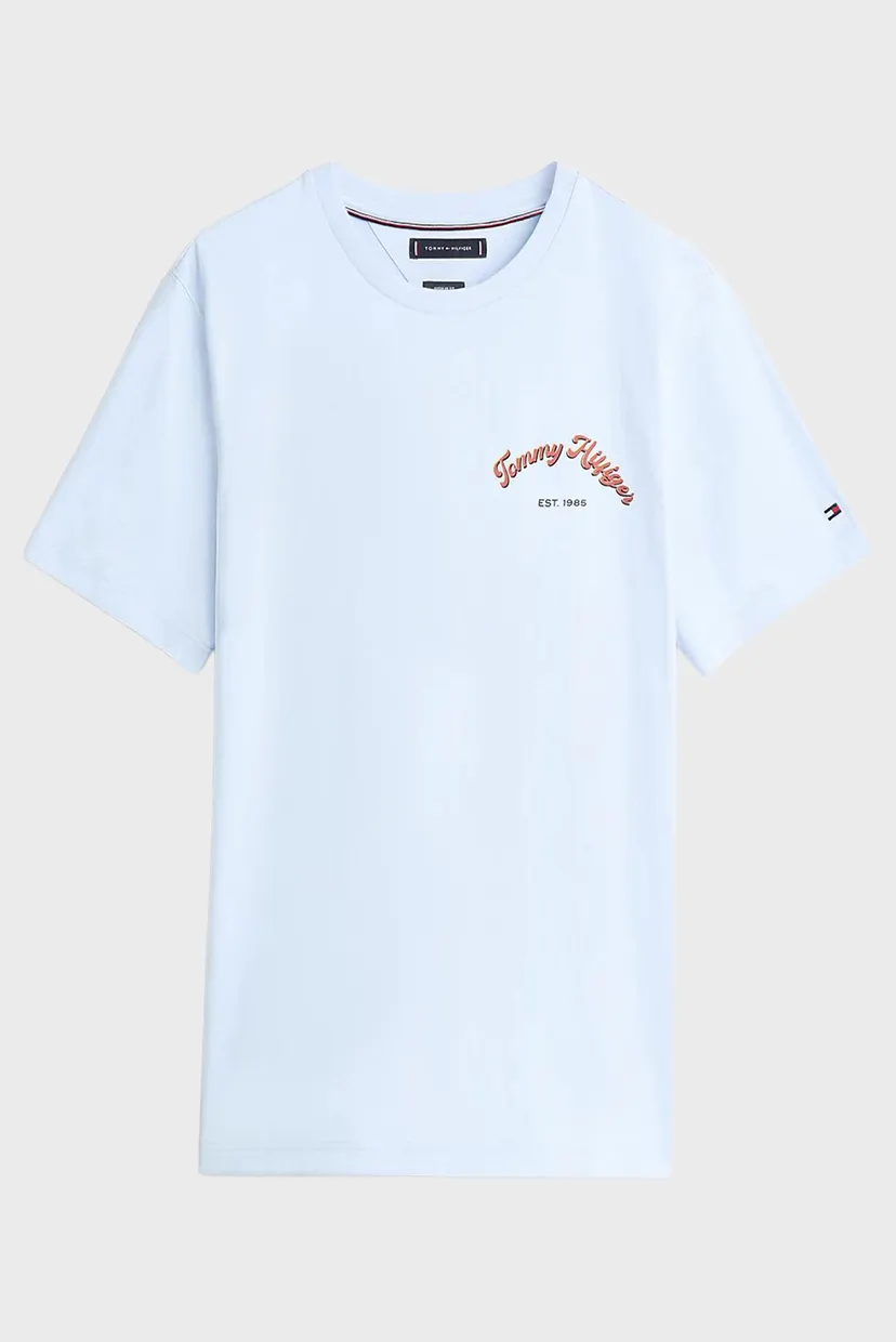 Чоловіча блакитна футболка GRAPHIC TEE 5