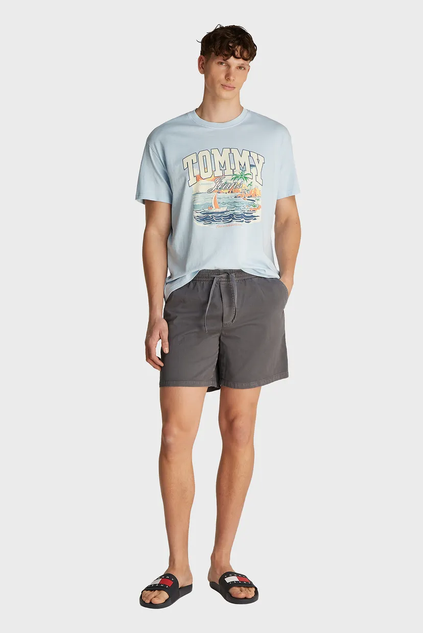 Мужские серые джинсовые шорты TWILL LOOSE BEACH 3