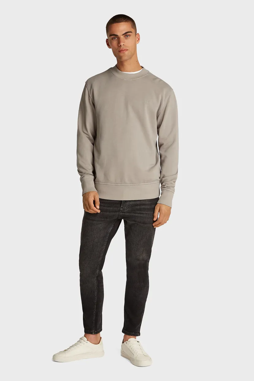 Чоловічий бежевий світшот WASHED PUFF PRINT CREW NECK 3