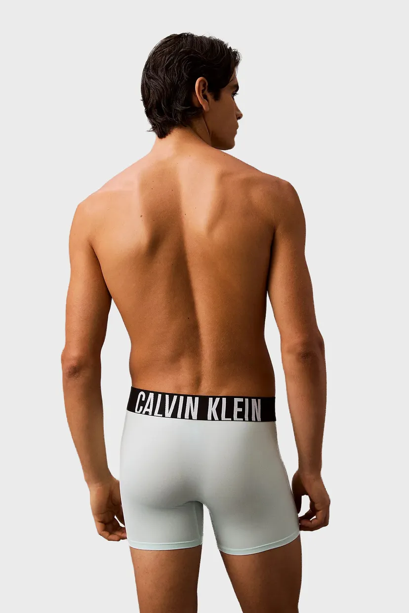 Чоловічі боксери (3 шт) BOXER BRIEF 3