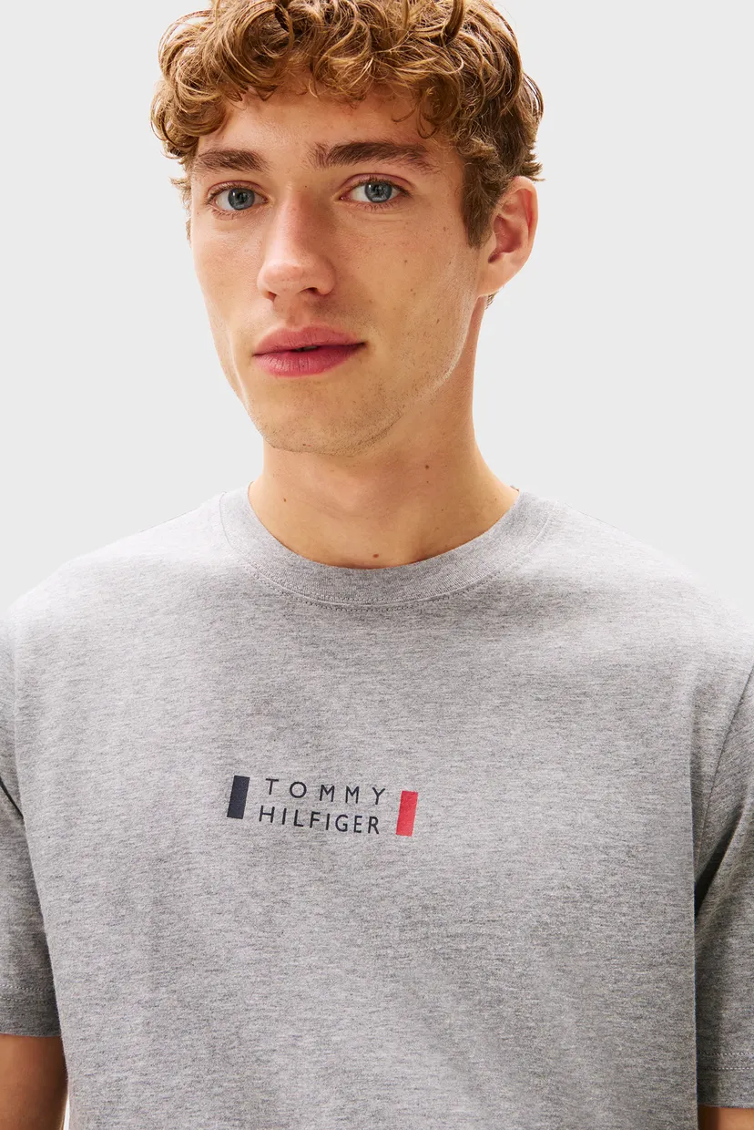Чоловіча сіра футболка BRAND LOVE SMALL 4