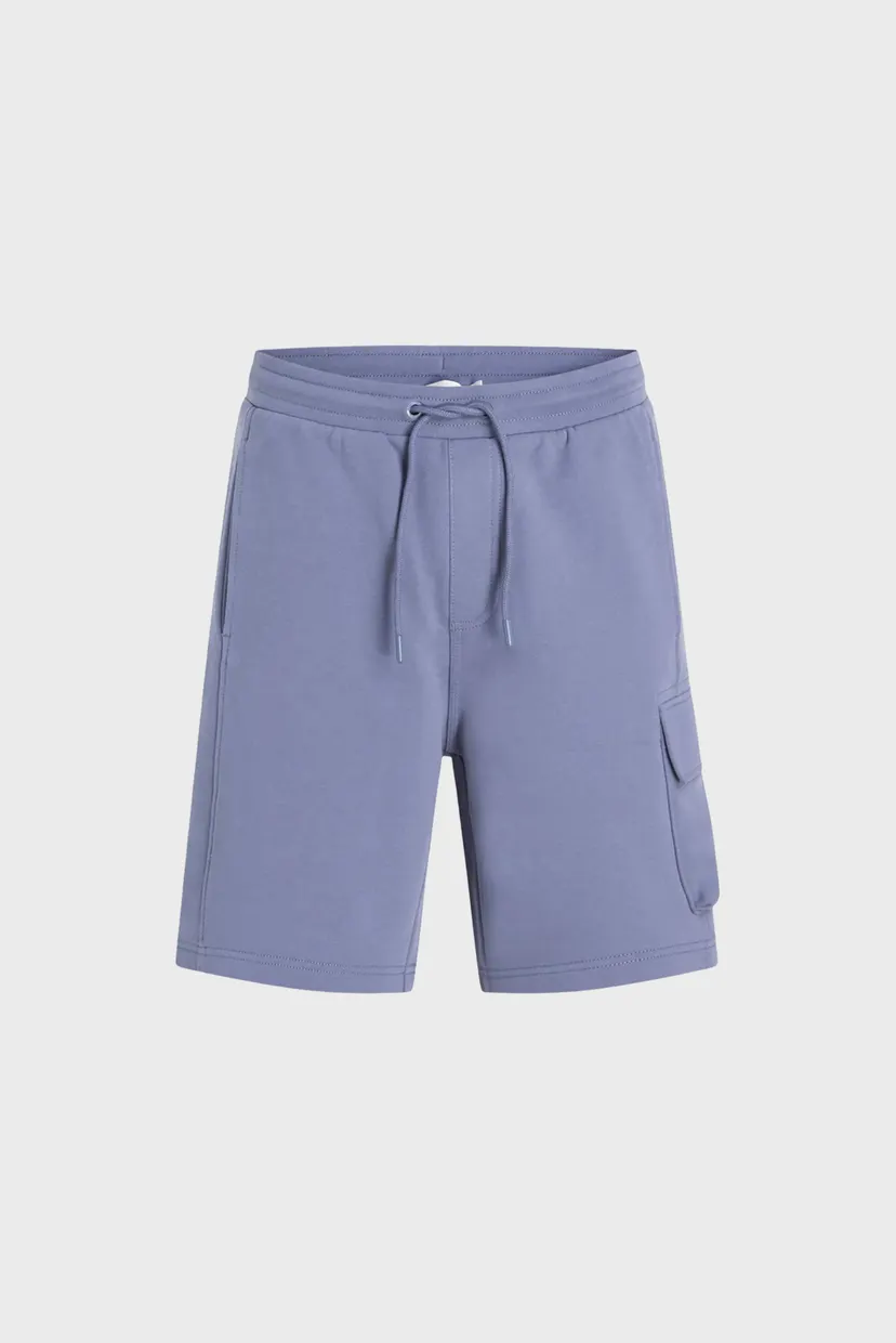 Мужские голубые шорты WOVEN LABEL SHORT 7