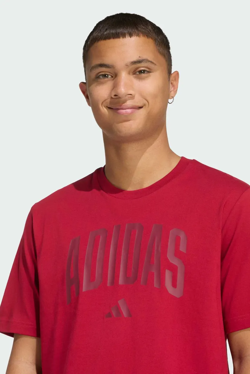 Мужская бордовая футболка Collegiate Lineage Graphic 5