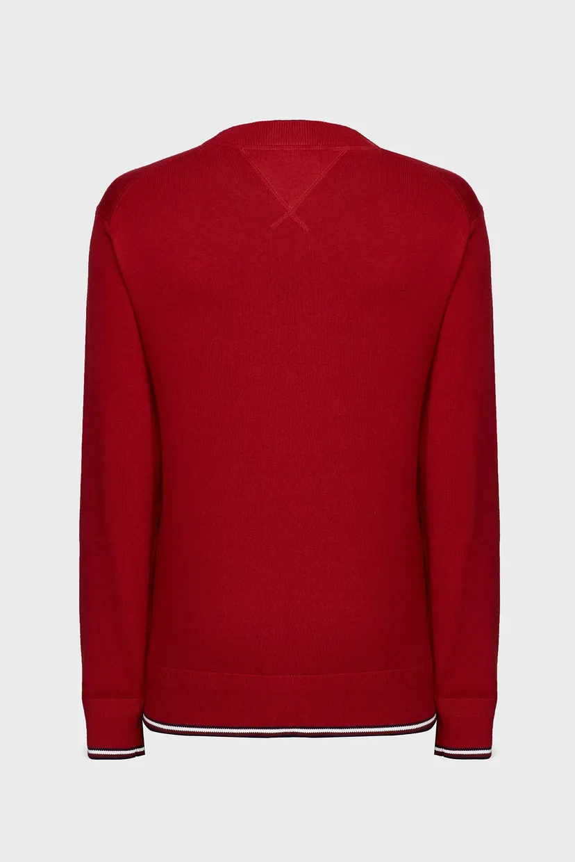 Чоловічий червоний джемпер MONOTYPE GS TIPPED CREW NECK 6