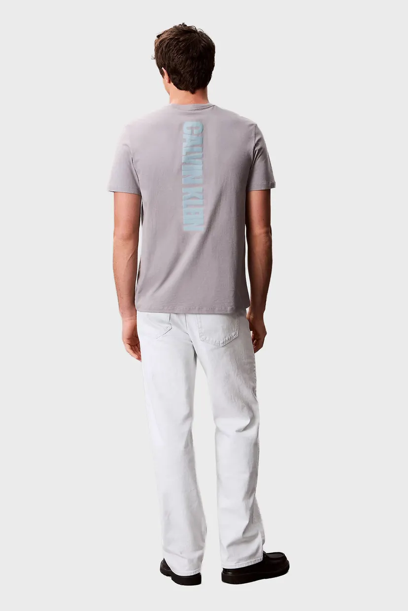 Чоловіча сіра футболка SS 30s EU WORD STRETCH GRAPHIC 3