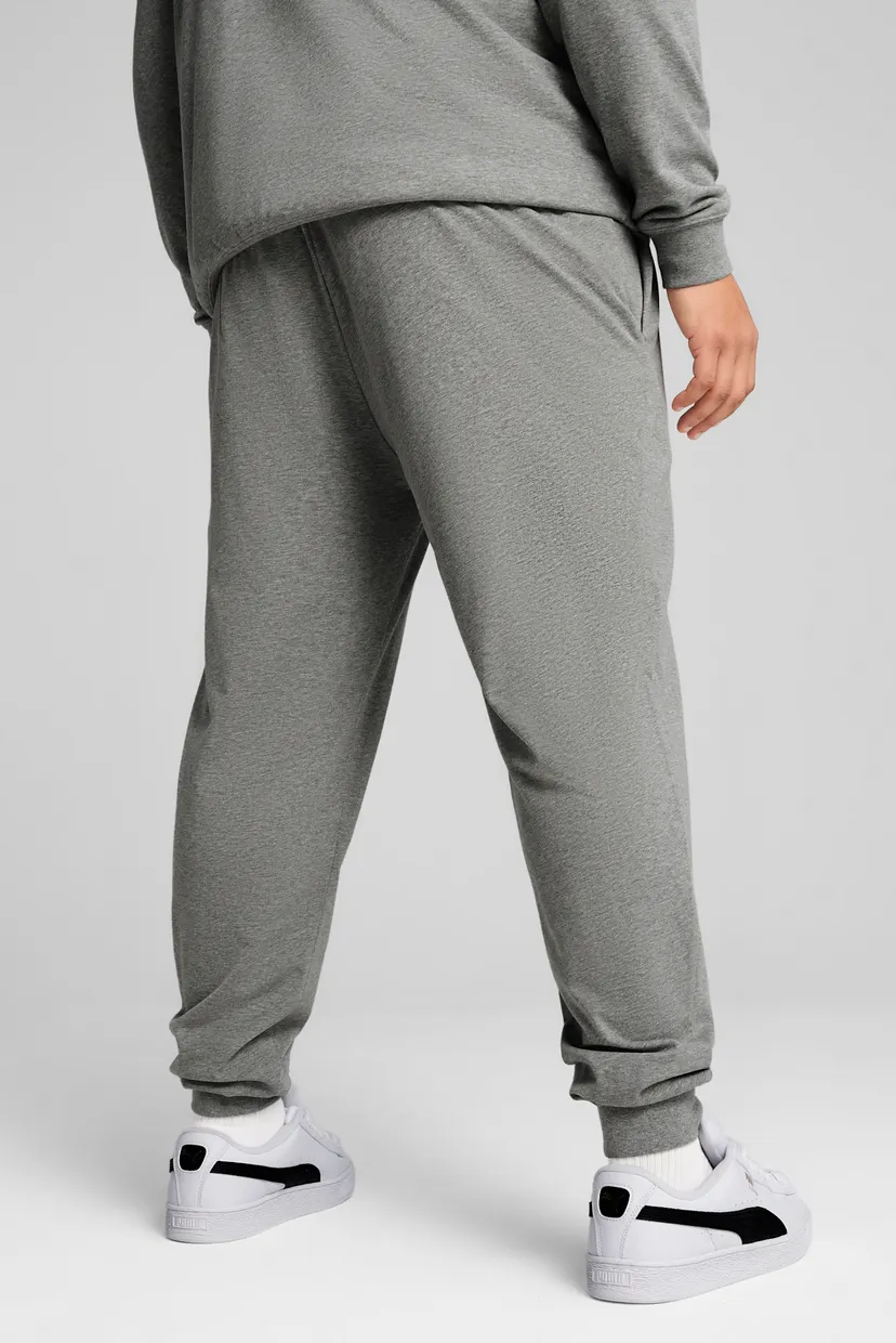 Мужские серые спортивные брюки Essentials No. 1 Logo Jersey Pants Men 3