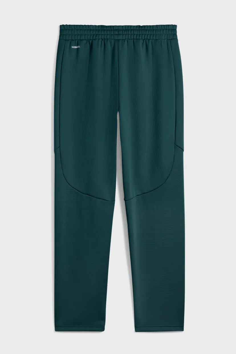 Чоловічі темно-зелені спортивні штани Evostripe Warm Pants Men 5