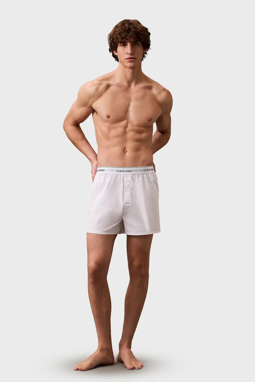 Чоловічі труси (3 шт) BOXER SLIM 5