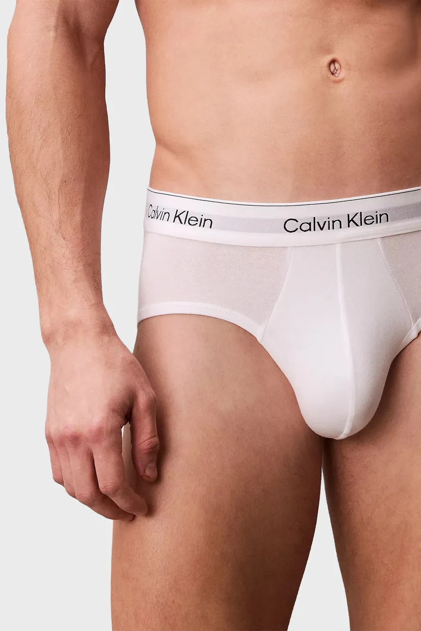 Чоловічі бріфи (3 шт) HIP BRIEF 5