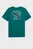 Мужская бирюзовая футболка Graphic Varsity Tee Men