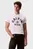 Мужская белая футболка SS 20S LN CALVIN COLLEGE GRAPHIC
