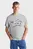 Мужская серая футболка TJC WASHED VARSITY 85 TEE