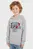 Детское серое худи SPORTS EMBR TOWELLING REG