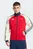 Чоловіча червона спортивна кофта Arsenal FC OG