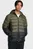 Мужской зеленый пуховик LEGEND DOWN HOODED JACKET