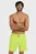 Мужские салатовые плавательные шорты  EVO BEACH BOXER LO