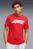 Чоловіча червона футболка F1® Essentials Logo Tee Men