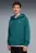 Мужское темно-зеленое худи PUMA Class Pinnacle Hoodie Men