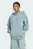 Жіноче блакитне худі ALL SZN Fleece Loose