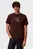 Чоловіча коричнева футболка Hero Monologo Tee 20s