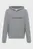 Мужское серое худи LOGO 350TERRY