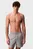 Мужские серые плавательные шорты WAISTBAND