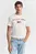 Чоловіча біла футболка GRAPHIC SS T-SHIRT