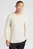 Чоловічий бежевий джемпер DC BASKETWEAVE CREW NECK