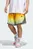 Мужские шорты adidas Crazy Lite AOP