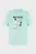 Мужская мятная футболка TSHIRT MAN