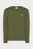 Чоловічий зелений лонгслів REG SHIELD