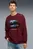 Чоловічий бордовий світшот BMW M Motorsport Graphic Crew Neck Sweat Men