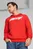 Чоловіче червоне худі F1® ESS Men's Motorsport Logo Hoodie