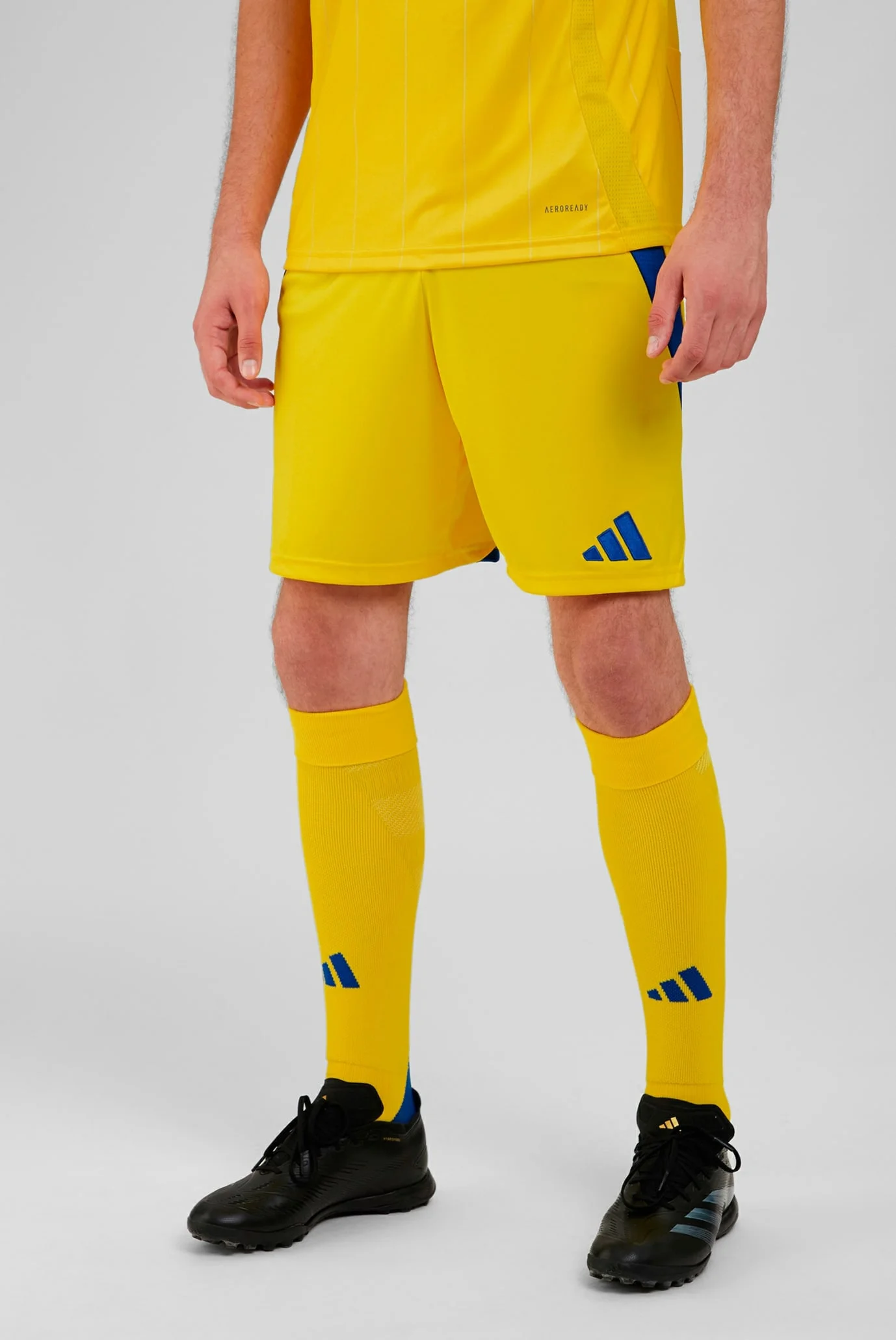 Мужские желтые шорты Ukraine 24 adidas IK2248 — MD-Fashion