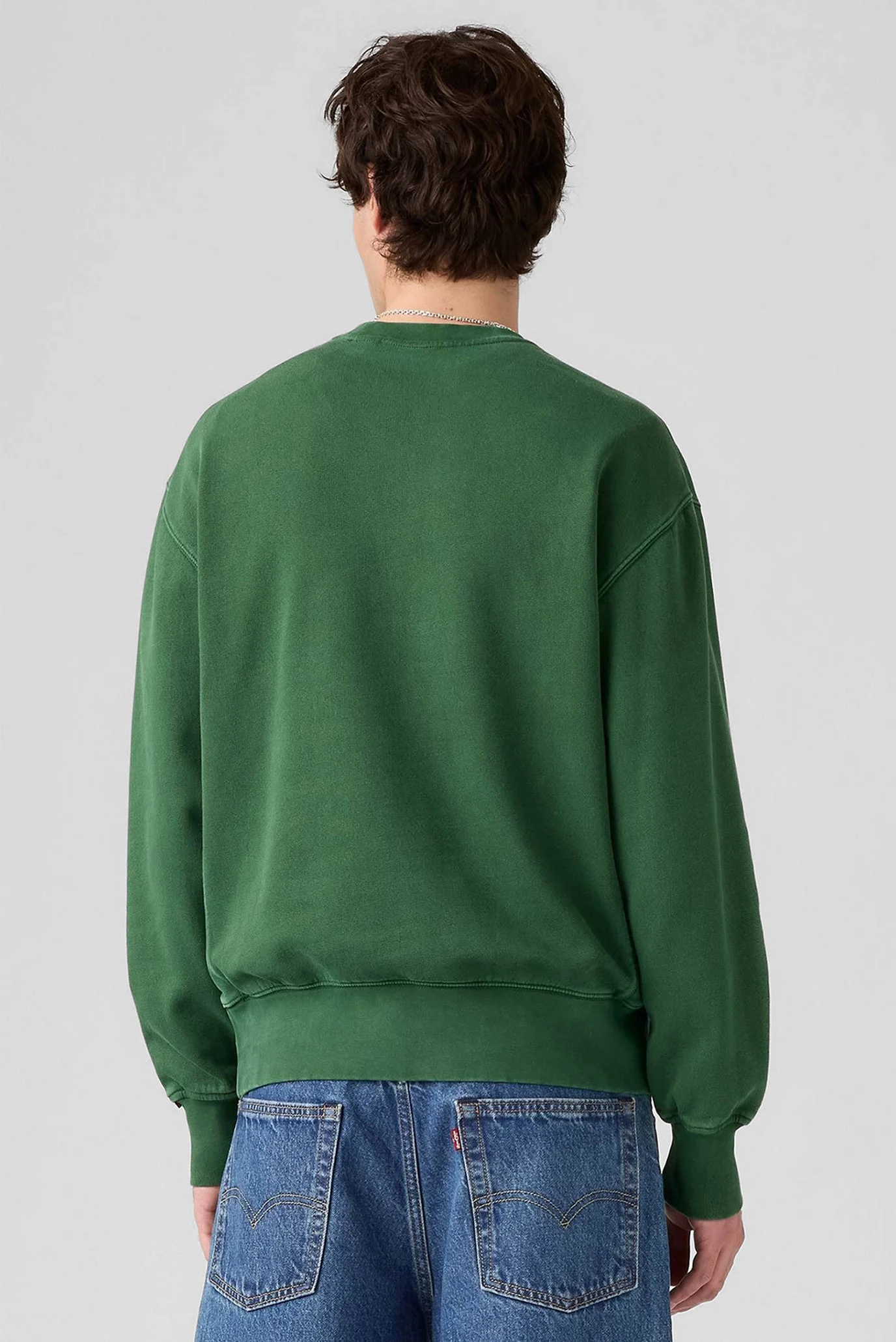 Мужской зеленый свитшот Levi's® A9244;0036 — MD-Fashion