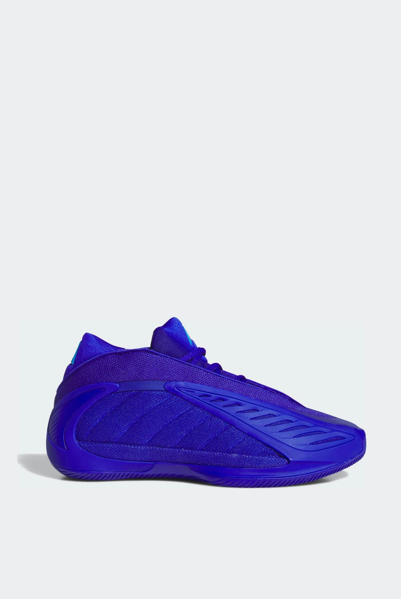 Сині кросівки ANTHONY EDWARDS 2 adidas JQ9501 — MD-Fashion
