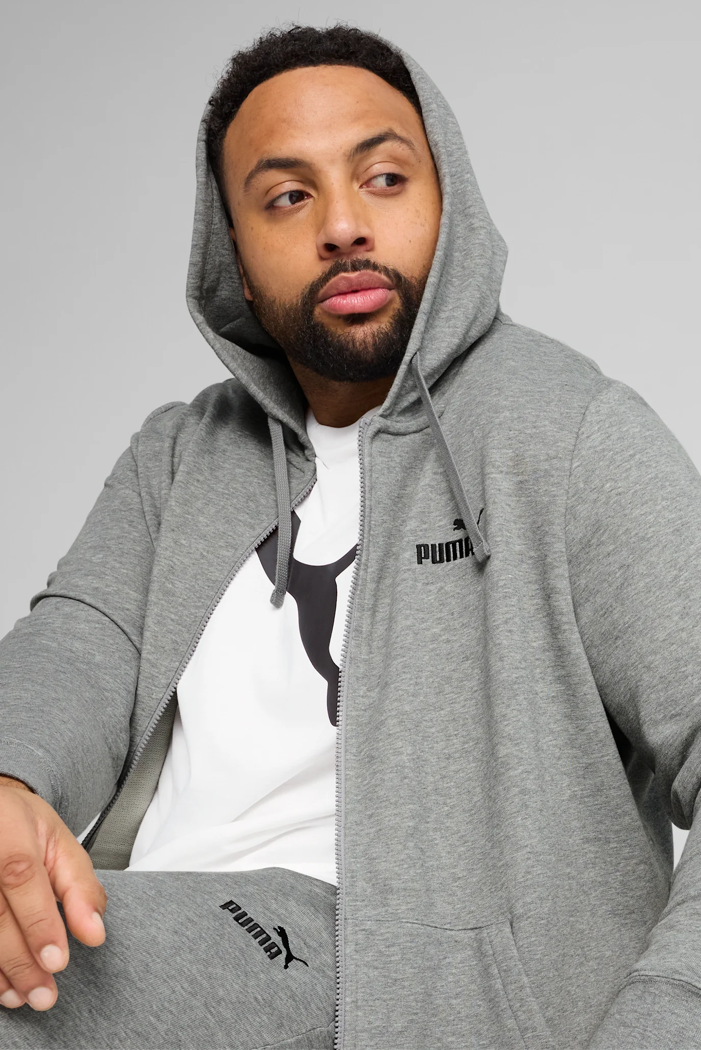 Мужское серое худи Essentials No. 1 Logo Full-Zip Hoodie Men PUMA