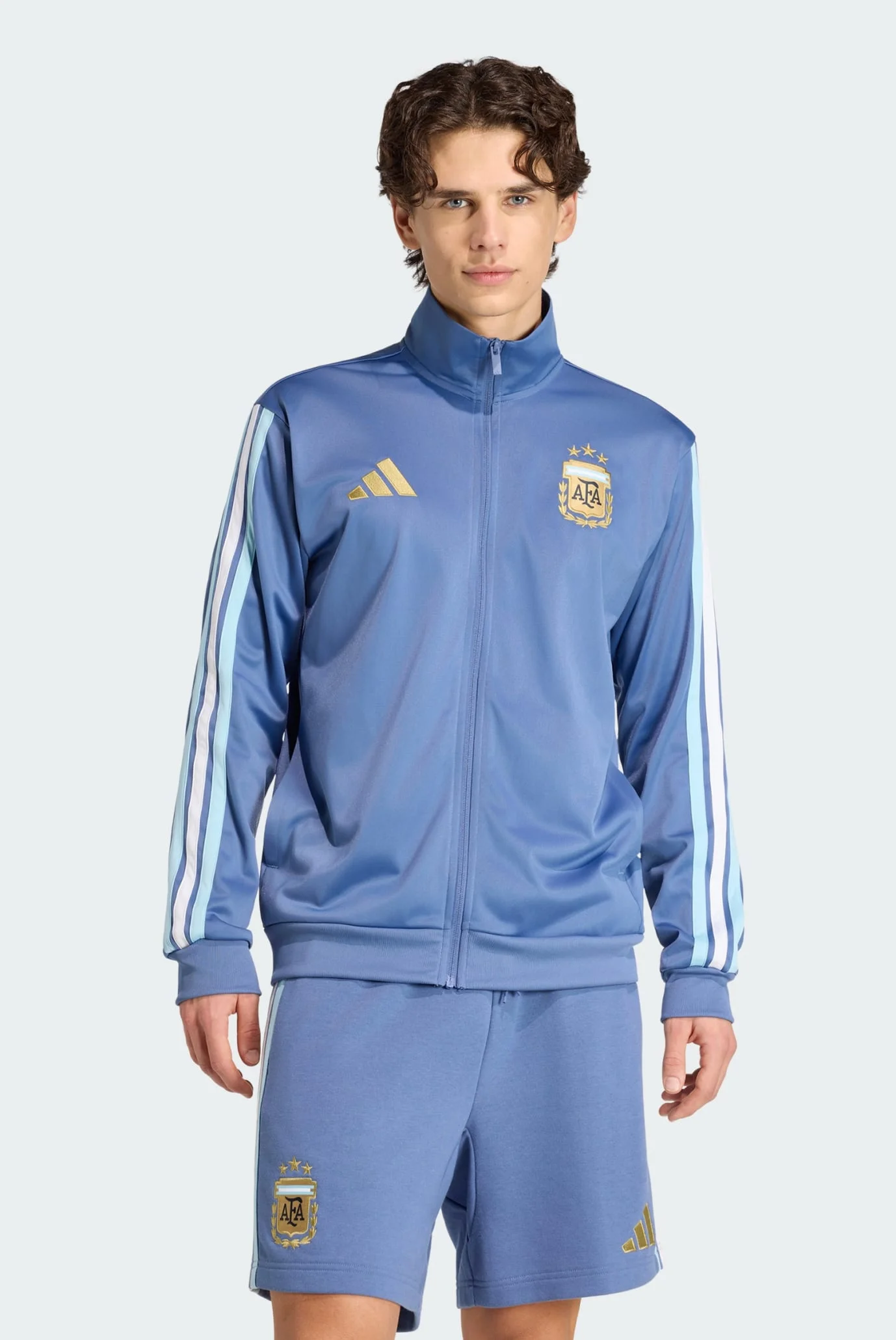 Мужская голубая спортивная кофта Argentina DNA Track adidas JZ6289